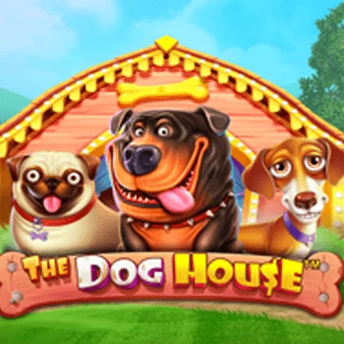 Slots The Dog House slothunter online casino